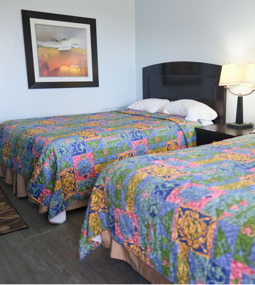 BLISSFUL STAYS AWAIT AT JET SET MOTEL